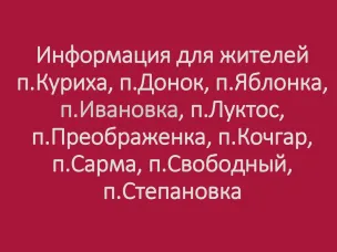Вопрос о ликвидации Муниципального бюджетного дошкольного образовательного учреждения Курихинского детского сада «Ёлочка» Вознесенского муниципального округа Нижегородской области.  